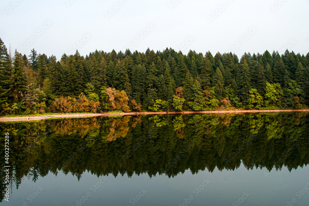 Fototapeta premium Tranquil