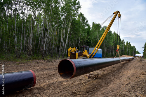 Natural gas pipeline construction work in forest area. Crude oil pipe and petrochemical pipe on top of wooden supports. Installation and construction the pipeline for transport gas to LNG plant