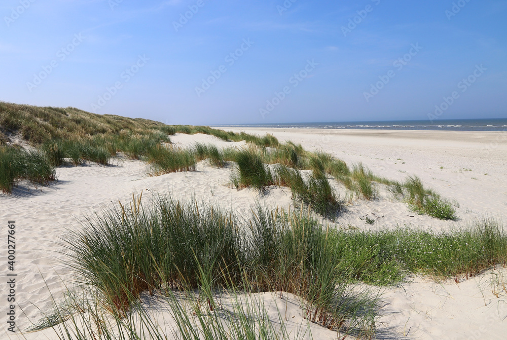 Weißer Sandstrand mit hohen Gräsern an der Küste der Nordseeinsel Langeoog in Deutschland Weißer Sandstrand mit hohen Gräsern an der Küste der Nordseeinsel Langeoog in Deutschland