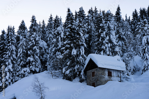 Italy, Trentino, Vermiglio - 13 December 2020 - Snowy winter landscape in Trentino © Stefano