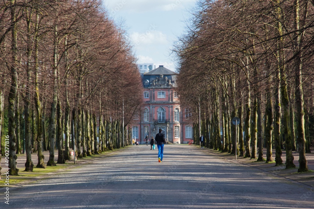 Jogger auf Allee Jogger auf Allee