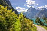 sunny day in Sisikon at Lake Uri in the Swiss Alps