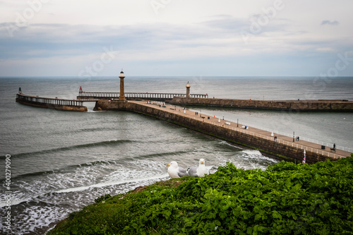 Wallpaper Mural Pier and lighthouse of Whitby, Yorkshire, United Kingdom Torontodigital.ca