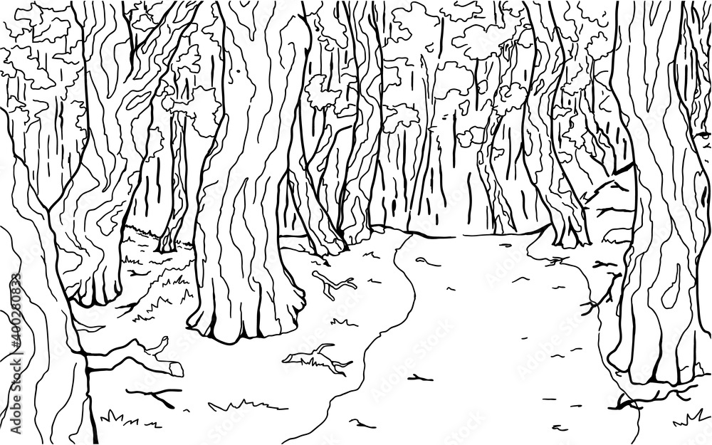 Naklejka premium Dense Forest Footpath Background Line Drawing