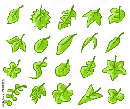 Tiny Leaves Set