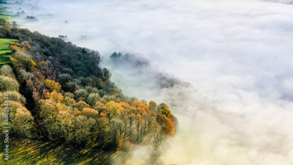 Aerial drone view of autumn trees shrouded in fog in a rural valley