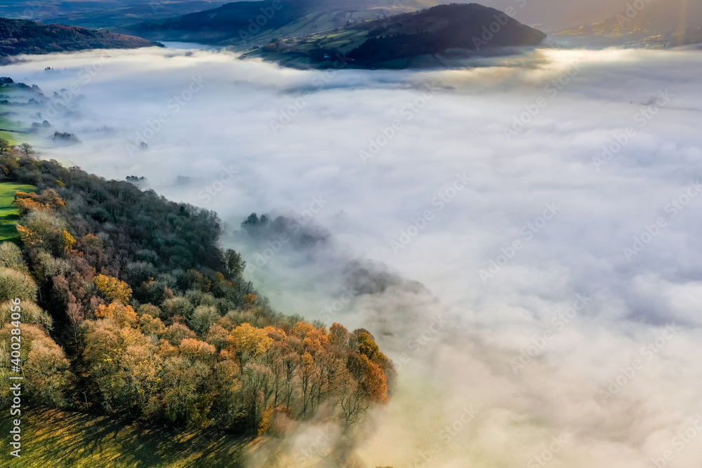 Aerial view looking down onto a trees in a beautiful, rural fog filled valley (Mid Wales)