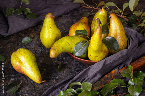 Rural still life, low key dark photography - view of a Conference pear in clay dishes with old rusty knife, closeup with selective focus