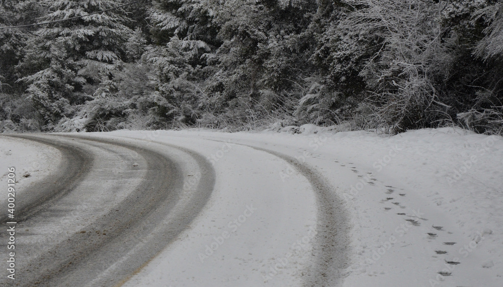Naklejka premium snowy street with forest and footprints