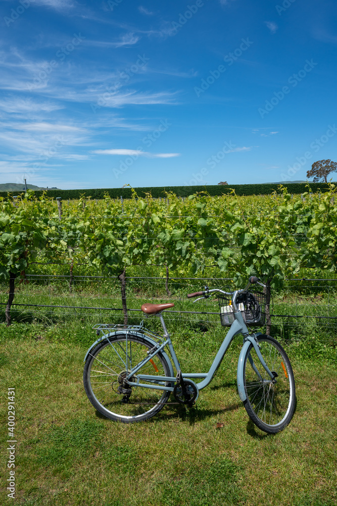 A bike next to a vineyard in Martinborough New Zealand A bike next to a vineyard in Martinborough New Zealand