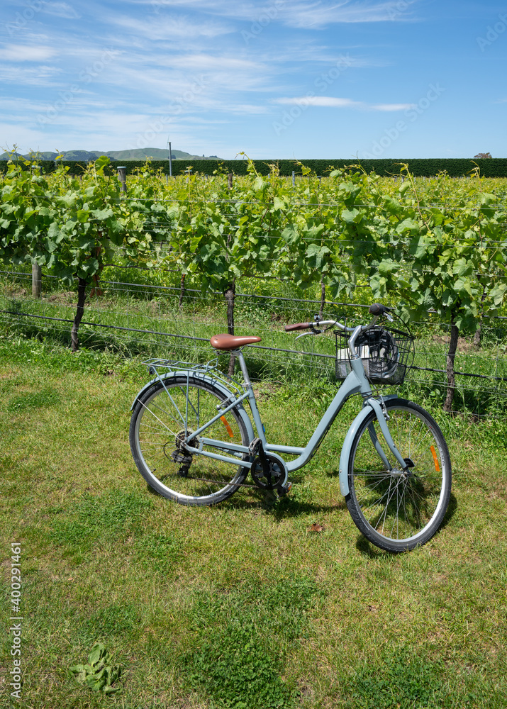 A bike next to a vineyard in Martinborough New Zealand