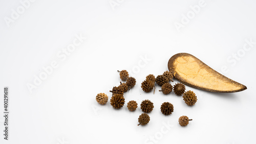 Sea pine cones and spoons from coconut shell on white background isolated. Copy space. photo