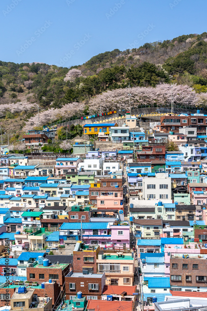Gamcheon Culture Village,Busan, South Korea. The area is known for its steep streets, twisting alleys, and brightly painted houses. 