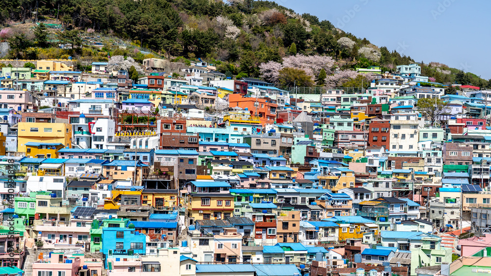Gamcheon Culture Village,Busan, South Korea. The area is known for its steep streets, twisting alleys, and brightly painted houses. 