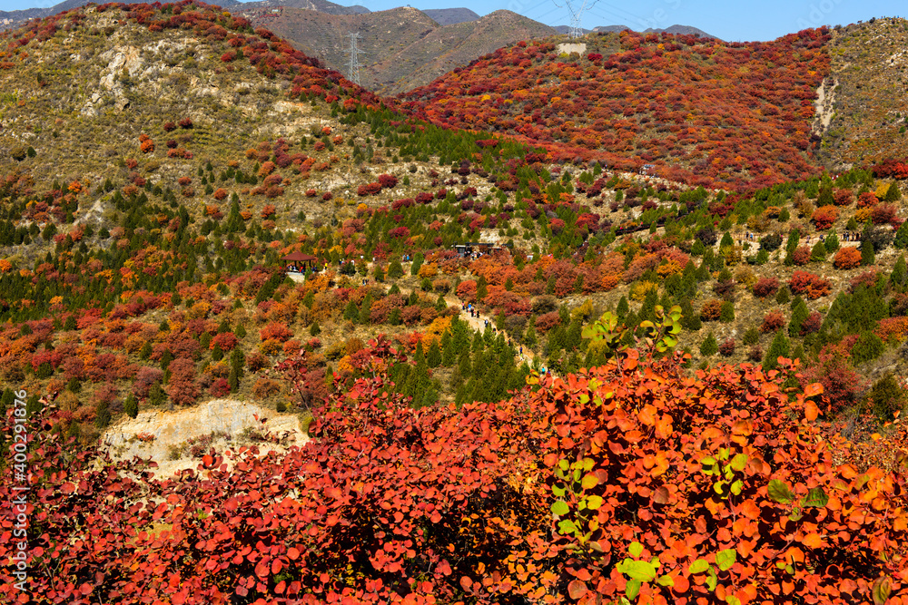 Beautiful and colorful autumn scenery in the mountains: green, yellow, orange, red Beautiful and colorful autumn scenery in the mountains: green, yellow, orange, red