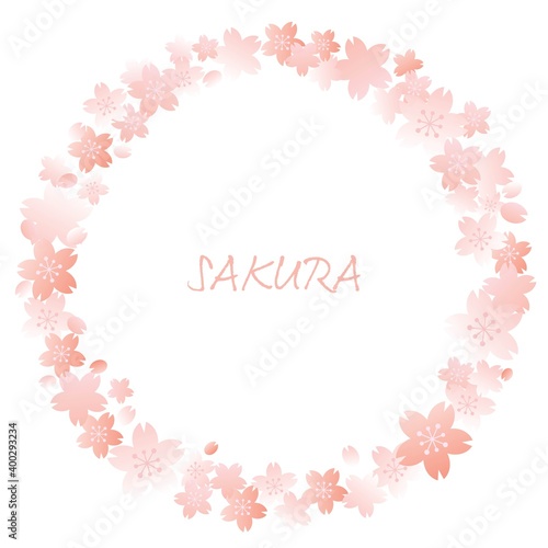Fototapeta Naklejka Na Ścianę i Meble -  ピンクの桜の丸いフレームイラスト