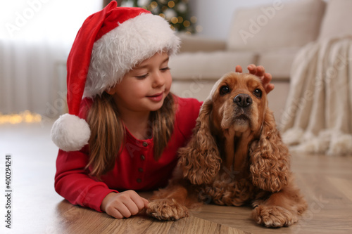 Cute little girl in Santa hat with English Cocker Spaniel at home. Christmas celebration © New Africa