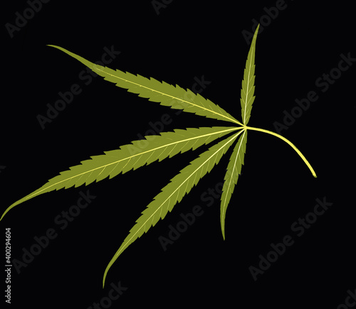 single close up marijuana leaf on black background with cartoon look photo