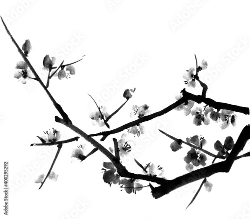 墨梅