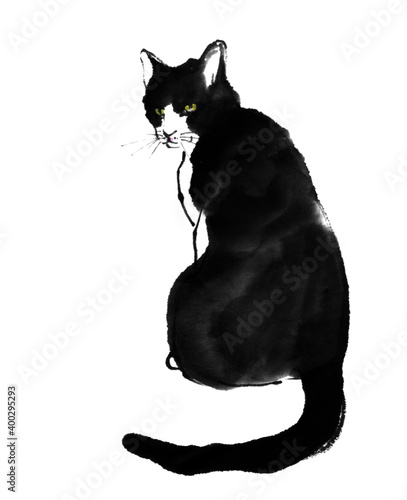 猫