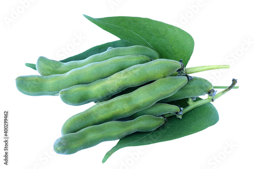 mucuna pruriens or velvet bean isolated on white photo
