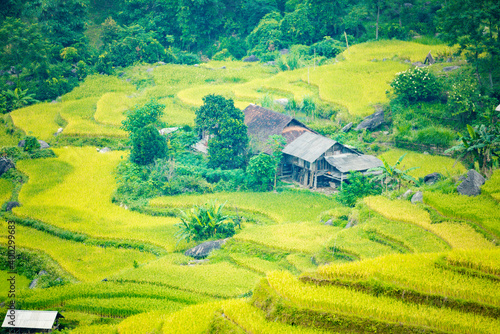 Beautiful view of Rice terrace and houses at Hoang Su Phi. Viewpoint in Hoang Su Phi , Ha Giang province, Vietnam