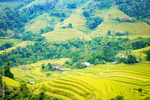 Beautiful view of Rice terrace and houses at Hoang Su Phi. Viewpoint in Hoang Su Phi , Ha Giang province, Vietnam