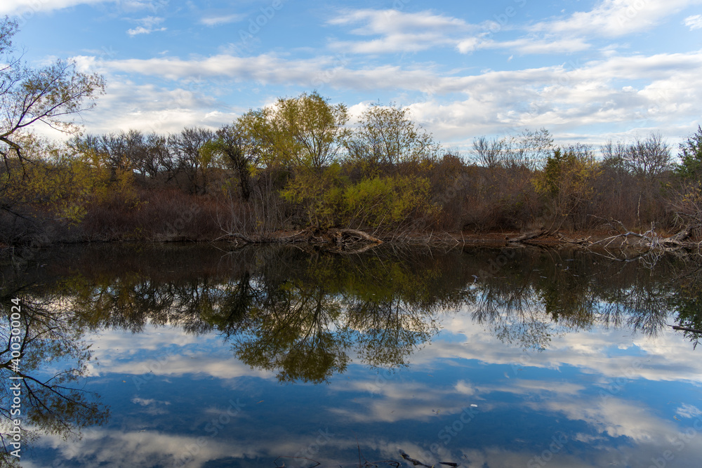 reflection of trees in the water