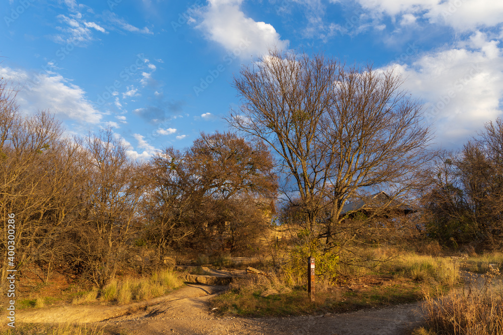 autumn landscape with trees and clouds autumn landscape with trees and clouds