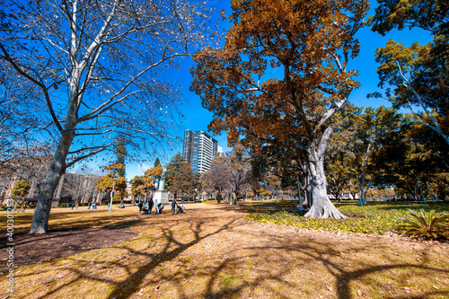Photography SYDNEY - AUGUST 19, 2018: Sydney Hyde Park on a beautiful sunny day