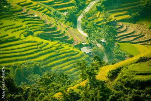 Green Terraced Rice Field in Hoang Su Phi. Viewpoint in Hoang Su Phi district, Ha Giang province, Vietnam