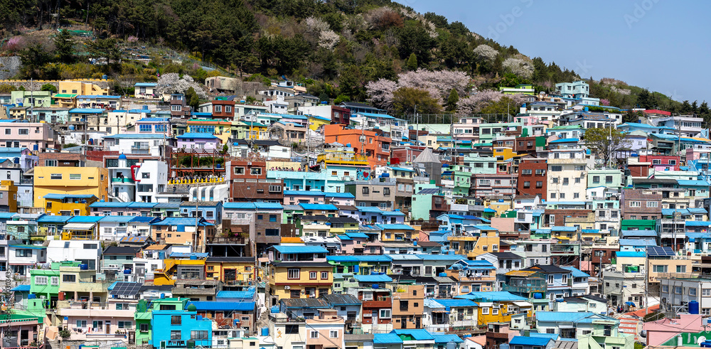 Busan, South Korea - April 6, 2019: Gamcheon Culture Village,Busan, South Korea. The area is known for its steep streets, twisting alleys, and brightly painted houses. 