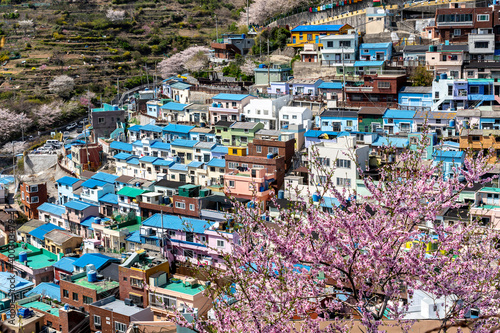 Busan, South Korea - April 6, 2019: Gamcheon Culture Village,Busan, South Korea. The area is known for its steep streets, twisting alleys, and brightly painted houses.  © JHVEPhoto