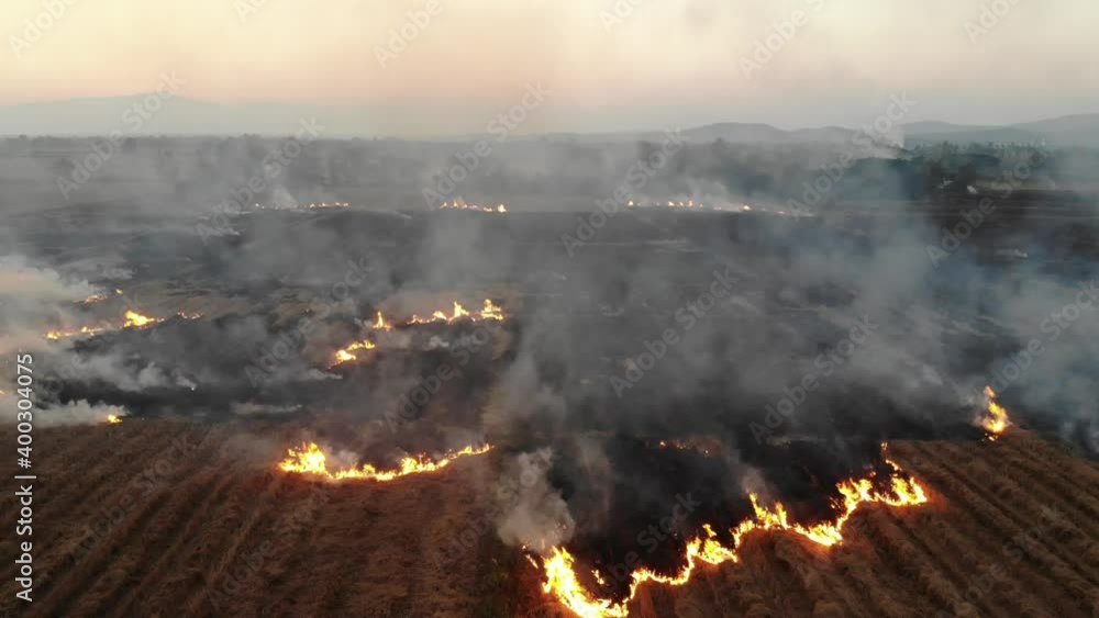 Aerial view burn rice fields with smoke after cultivate cause of air pollution agricultural industry Aerial view burn rice fields with smoke after cultivate cause of air pollution agricultural industry