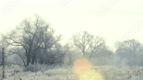 The field with frozen grass and trees in the distance are covered with frost and snow and are illuminated by the sun in the early frosty morning. There is a frosty haze in the air.