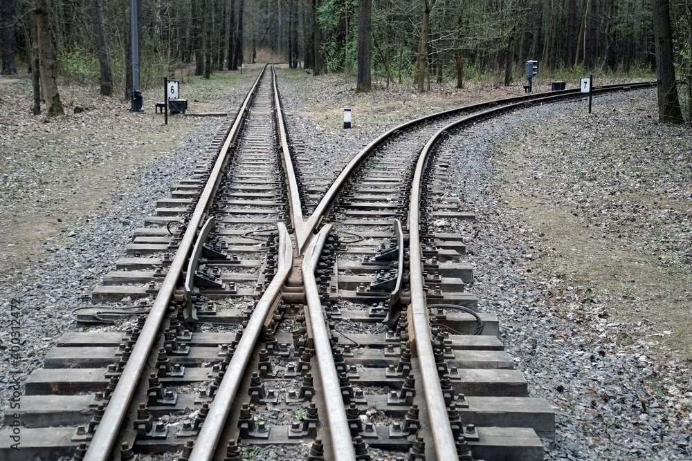 Railroad in the forest. Perspective. The paths diverge. Turn
