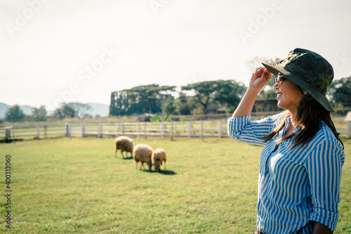 Female farmer working and looking on Sheep farm. Agriculture mature female farmer standing against Sheep in stable or farm countryside.de.