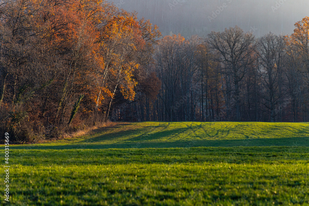 Naklejka premium autumn fall lawn landscape