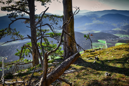 Hohe Wand, Niederösterreich