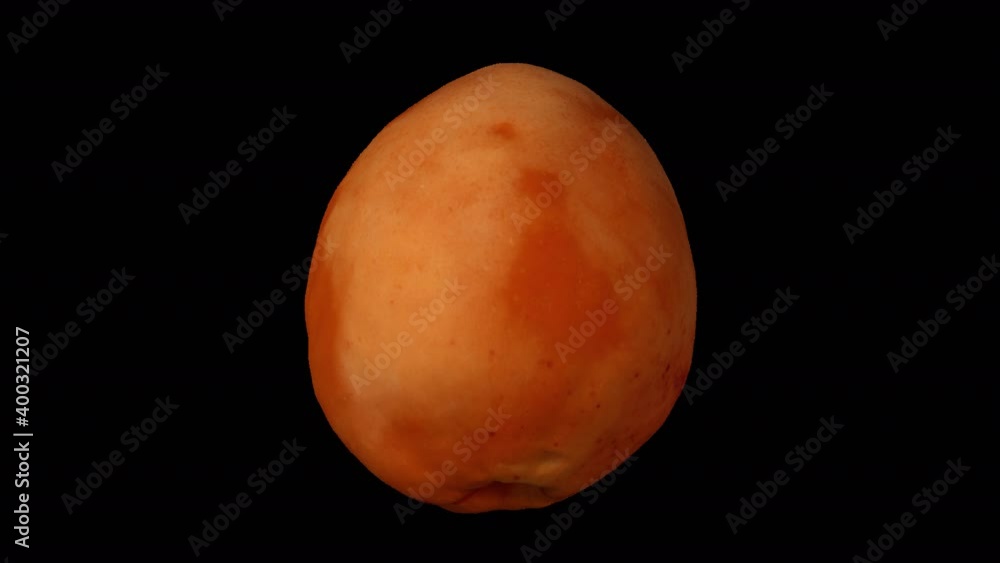 Realistic render of a rotating apricot on transparent background (with ...