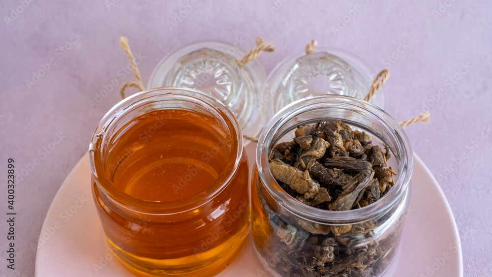 Fototapeta premium Tuberculosis. folk remedy for treatment of tuberculosis a mole cricket mixed with honey.