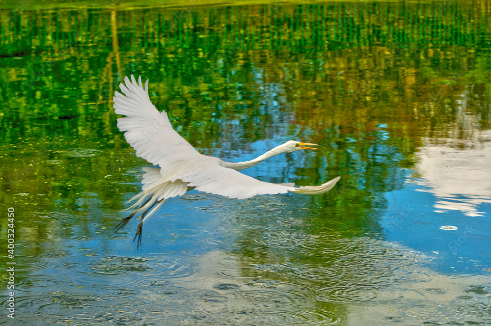 Garza Stock Photo Adobe Stock