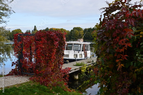 Herbst am Fluss Spree, Halbinsel Stralau, Lichtenberg, Berlin photo