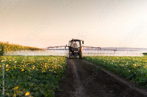 Tractor spraying vegetable field in sunset. photo