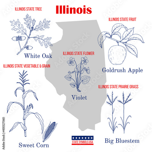Illinois. Set of USA official state symbols