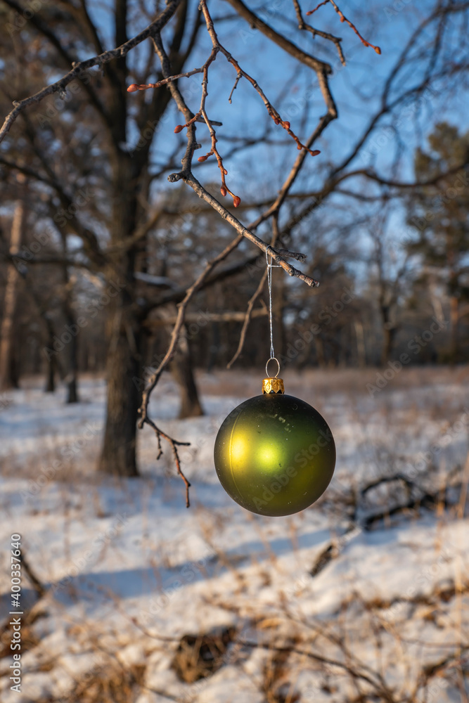 winter, day, december, christmas, forest, landscape, white, snow, green, christmas tree, ball, branch, tree, space, distance, light, shadow, glare, nature, walk, beauty, style, design, decor winter, day, december, christmas, forest, landscape, white, snow, green, christmas tree, ball, branch, tree, space, distance, light, shadow, glare, nature, walk, beauty, style, design, decor