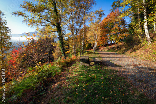 Canvastavla Autunno