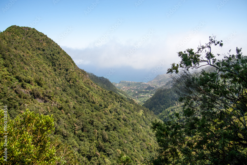 Urwald auf Madeira