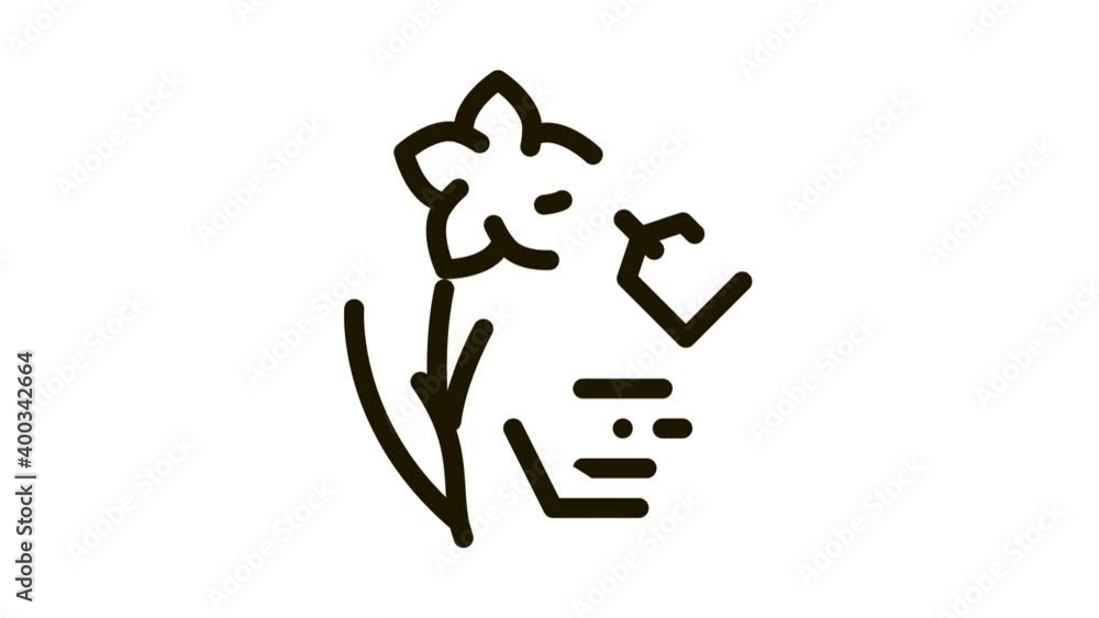 flower label price Icon Animation. black flower label price animated icon on white background flower label price Icon Animation. black flower label price animated icon on white background