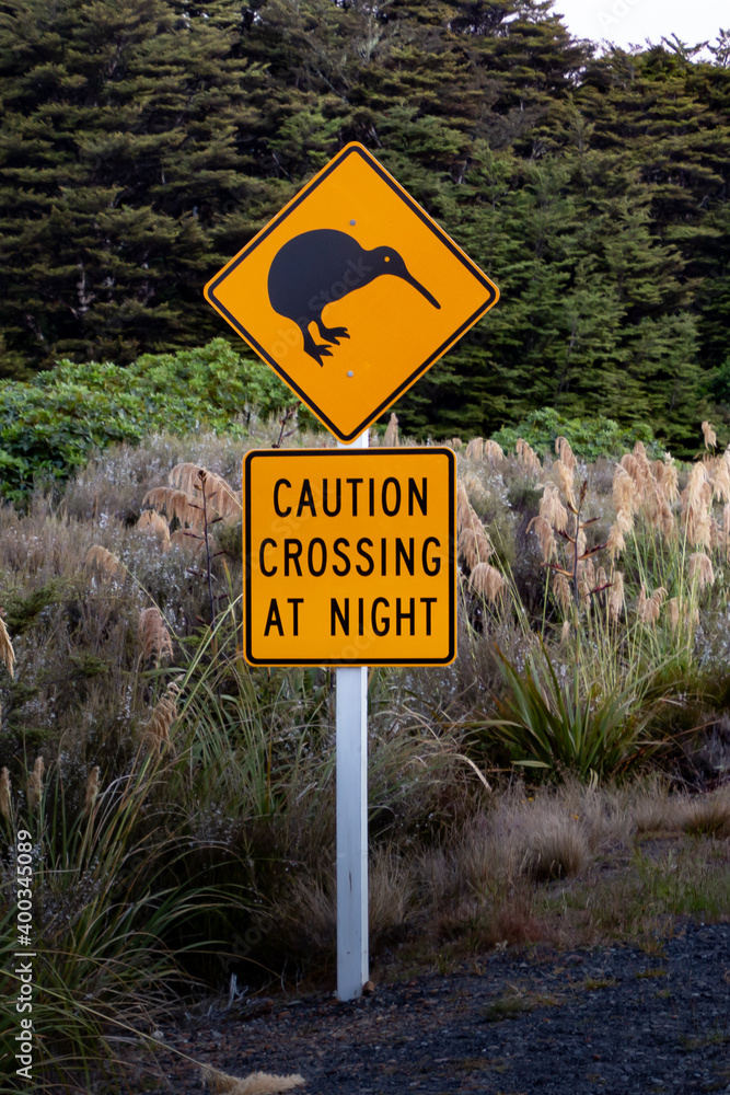 warning sign for kiwi crossing at night